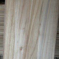 Einzelartige Paulownia-Holzplatten: Spezialisierte Produktion, Dedizierter Lagerbestand an Holz für Plattenimporteure