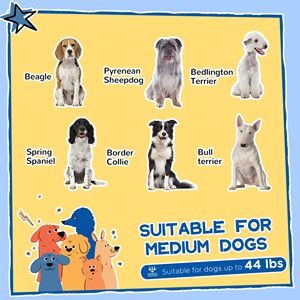 Cuccia per Cani di Taglia Grande in Legno Stile Cabina, Gialla con Tetto Apribile e Finestra Gigante, Arredamento per Animali Domestici - Product Image 3