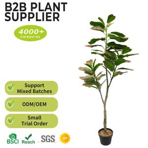 Grandes plantes artificielles vertes 170CM Résistantes aux UV Plastique écologique Arbre de simulation <span class=keywords><strong>pour</strong></span> la décoration intérieure du salon - Product Image 2