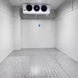 Sistema de Paneles Aislantes Acústicos para Cámaras Frigoríficas Industriales, Refrigerante R-410A para Almacenamiento de Alimentos, Lácteos, Carne, Mariscos - Product Image 4