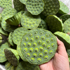 Vietnam Premium Grade BLACK LOTUS SEEDS Bulk Supply at Competitive Price <b>Nuts</b> & <b>Kernels</b> - Product Image 5