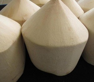 Coco Fresco Joven en Forma de Diamante - Origen Vietnam Premium - Naturalmente Dulce y Refrescante - Calidad de Exportación // Mr. Tom - Product Image 4