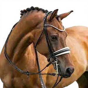 Premium <b>Leather</b> Horse Bridle Customizable Design 100% QC Inspected Equestrian Equipment Durable Riding Tack - Product Image 2