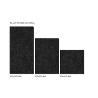 Offre Spéciale – Carrelage Extérieur en Porcelaine Vitrifiée Émaillée de 20 mm d'Épaisseur, Bicolore, 600x600 mm, pour Allée Moderne