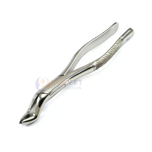 Achetez des forceps chirurgicaux pour l'extraction dentaire Fig.53L pour les molaires supérieures, avec poignée dentelée antidérapante, forceps d'extraction. - Product Image 3