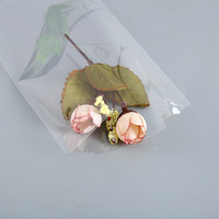 Sachet en cellophane LDPE à soufflet inférieur pour biscuits, bonbons et sushis, avec fermeture éclair, adhésif auto-scellant, estampage à chaud, biodégradable