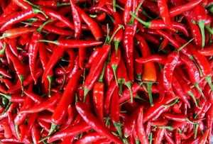 Chiles Habanero Deshidratados en Polvo de Primera Calidad, Congelados Individualmente (IQF), Partículas Enteras, Empaque a Granel, de Vietnam - Product Image 4