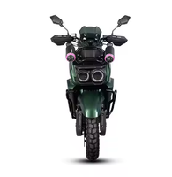 Wholesale Quality Electric Scooter Motorbike 48V Voltage Racing Motorbike for Adults
