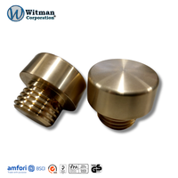 Capuchon d'extrémité en laiton remplaçable, anti-choc et anti-étincelle, diamètre. 43mm HRB60 pour marteau souple, travaux de construction lourds, OEM, bricolage