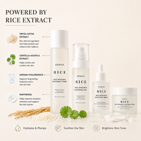Kit de Soins de la Peau 4 Pièces OEM au Ferment de Riz : Tonique, Brume, Sérum, Crème Hydratante, Apaisante et Éclaircissante