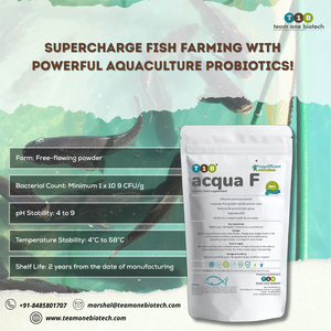 Aquaculture Probiotic Supplement to Enhance Fish Immunity - Product Image 4