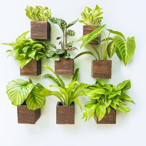 Natural Mango Wood Hanging Planter - Wholesale Bohemian <b>Decor</b> - Product Image 3