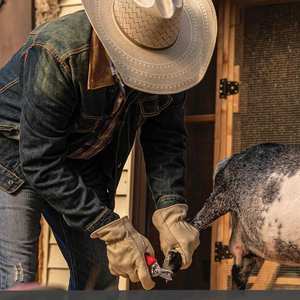 ถุงมือกันกระแทกสำหรับงานกลางแจ้ง ถุงมือป้องกันเพื่อความปลอดภัย สวมใส่สบาย ใช้งานได้ยาวนาน ป้องกันมือได้สูงสุด - Product Image 6