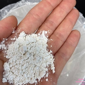 Bulk Supply GCC Powder <b>For</b> <b>Plastic</b> Rubber Construction <b>Paint</b> And Masterbatch Applications - Product Image 1