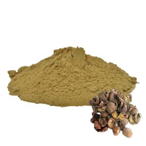Polvo de Fruta Baheda al por Mayor, Polvo Herbal Natural de Baheda, Proveedor de Polvo de Baheda Tradicionalmente Utilizado en el Bienestar Herbal para una Digestión Saludable - Product Image 6