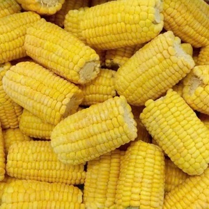 Maíz Dulce Amarillo Congelado en Cubos de Vietnam, Maíz Dulce Congelado IQF en Cubos, Venta Caliente - Product Image 4