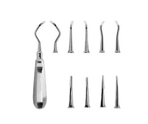 <b>Precision</b> Manual Stainless Steel Dental Instrument for Root Extraction Excellent <b>Tools</b> Featuring Silver Color by Blush surgical - Product Image 6