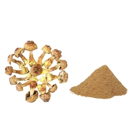 Poudre de champignon Agaricus Blazei 100% pure