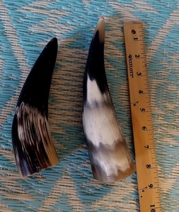 Shofars authentiques faits à la main en corne de buffle et de bélier naturels, polis, pour la maison ou usage religieux - Product Image 5