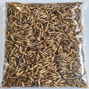 BSFL Seco del Delta de Vietnam para Alimentación de Aves de Corral |   35-45% de proteína, 5-8% de fibra |   Nutrición Natural para Insectos de Vietnam |   Sra. Alina - Product Image 6