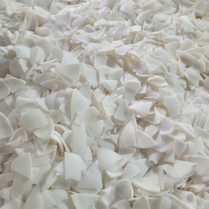 Carne de Coco Congelada IQF de Vietnam de Alta Calidad para Procesamiento de Alimentos y Producción Industrial de Jugos de 99 Gold Data - Product Image 5