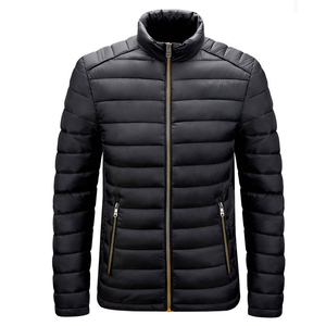 Breathable High Quality OEM Service Custom Made Hooded Men Winter Puffer <b>Jacket</b> Thin Stand Collar Customized Colors Front - Product Image 4