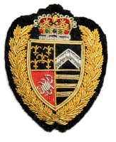 Badges en bullion brodés à la main sur mesure, effet 3D en relief, résistants à l'eau, écologiques, qualité supérieure, service OEM pour chapeaux