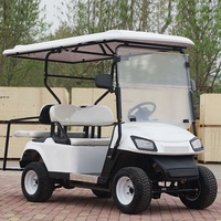 Vente en gros de voiturette de golf électrique à 4 roues 72V adultes 8 places tout-terrain voiturette de golf électrique buggy de plage