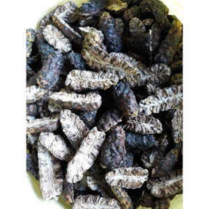 Vietnam Dried Noni Fruit Export Manufacturer Offering Competitive Prices and Consistent Product Quality - Product Image 4