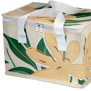 Reusable PolyPropylene Non Woven Cooler Bag With Custom Printed for Food Delivery Picnic Camping and Supermarket Shopping - Product Image 1