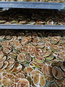 TRANCHES DE CITRON SUPER SÉCHÉES DU VIET NAM HAUTE QUALITÉ/MEILLEUR PRIX FRUITS SÉCHÉS/Mme Shyn - Product Image 5