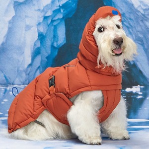 [MUNIKUND] Veste rembourrée imperméable pour chien Thermal Up Padding Air 2, manteau d'hiver en duvet végétalien, vêtements d'extérieur pour animaux de compagnie, Corée - Product Image 3