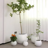 Nouvelle Arrivée Durable Nordique En Plastique Pot De Fleur Ronde Sphère Boule Planteur pour Bureau Maison Bureau Jardin In-Outdoor Decor