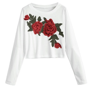 T-shirt manches longues pour filles, vêtements hip-hop ajusté et sexy, style occidental, tenue hip-hop, respirant, haut court avec appliques brodées, offre spéciale - Product Image 1