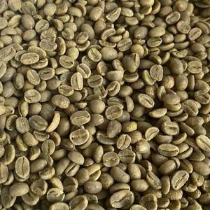 Granos de Café Verde Arábica de Vietnam de Buena Calidad, 60 kg, Screen 18, Mejor Precio, 100% Natural, Cafeína Pura Natural - Product Image 4