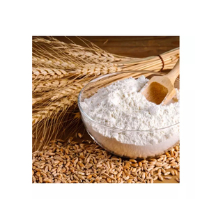Trigo Rojo Duro de Invierno con Alto Contenido de Proteínas para Producción de Harina, Venta al por Mayor, Exportación - Product Image 3