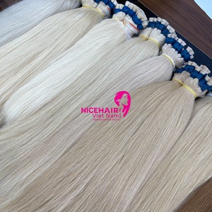 Extensiones de Cabello Humano Natural, Doble Trama, Rubio, Cabello a Granel, 100% Natural, Precio al por Mayor, Producto de Belleza Original Vietnamita - Product Image 1