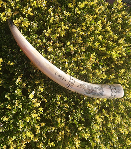 Corne à boire viking artisanale FAIZA CRAFT, écologique, pour la bière, corne de buffle de haute qualité, polie, forme naturelle, cadeau artisanal - Product Image 6