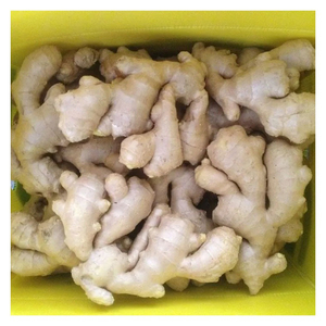 Jengibre fresco y jengibre seco al aire, en caja de cartón y cartón plástico - Product Image 3