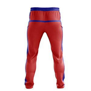 Custom Color Printed Sublimated Cricket Uniform Set Breathable <b>Mesh</b> <b>Short</b> Sleeve Team Jersey Pant Elastic Waist Quick Dry 100% - Product Image 2