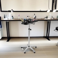 Support de rangement pratique pour plateaux de coloration de salon, en métal de qualité supérieure, pour un rangement soigné et une efficacité de travail accrue