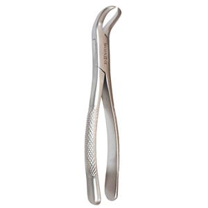 Pinzas de Extracción Dental de Cuerno de Vaca Superior Fig. 23, Pinzas Quirúrgicas Dentales de Acero Inoxidable de Grado Premium para Extracción de Dientes - Product Image 3