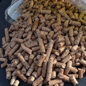 Precio de Fábrica, Pellets de Madera de Abedul de Alta Calidad en Bolsas de 15 kg, 6 mm, 8 mm (Din Plus / EN Plus, Pellets de Madera A1 Listos para la Venta) - Product Image 2