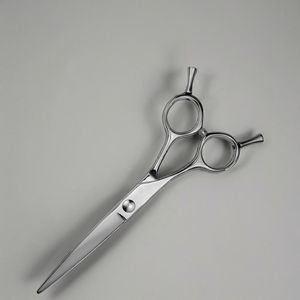 Tijeras de Peluquería de Alta Gama, Acero Inoxidable Japonés, Herramientas de Belleza, Hoja Curva Afilada, para Diestros, Mango de Acero No Plegable - Product Image 2