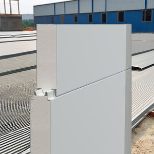 Panel Sándwich de Pared Interior EPS de Alta Calidad de 100 mm para Construcción Industrial con Ahorro de Energía, Aislamiento Térmico Prex - Product Image 1