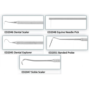 Outils de détartrage équin, sonde parodontale dentaire à bande pour chevaux, dentisterie vétérinaire Regal Impex - Product Image 4