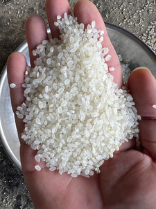 ข้าวญี่ปุ่นออร์แกนิกเมล็ดสั้น 5% ข้าวหัก เวียดนาม อบแห้ง สำหรับทำซูชิ ขายส่งจำนวนมาก - Product Image 3