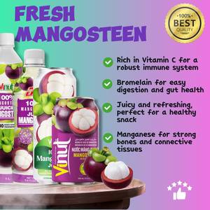 100% Mangosteen Juice Drink 1L Muestra gratis, Etiqueta privada, Proveedor mayorista (OEM, ODM) ISO BRC KOSHER HALAL FSSC - Product Image 3
