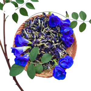 Flor de Guisante Mariposa Seca de Alta Calidad, Exportación de Vietnam, Té Herbal Natural Puro, Suministro a Granel, Precio de Fábrica, Sin OMG, Muestra Gratuita - Product Image 1