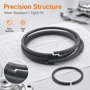 Guarnizione Anello Pistone di Precisione per Compressori Industriali, Basso Attrito, Fornitura di Ricambio OEM su Misura - Product Image 2